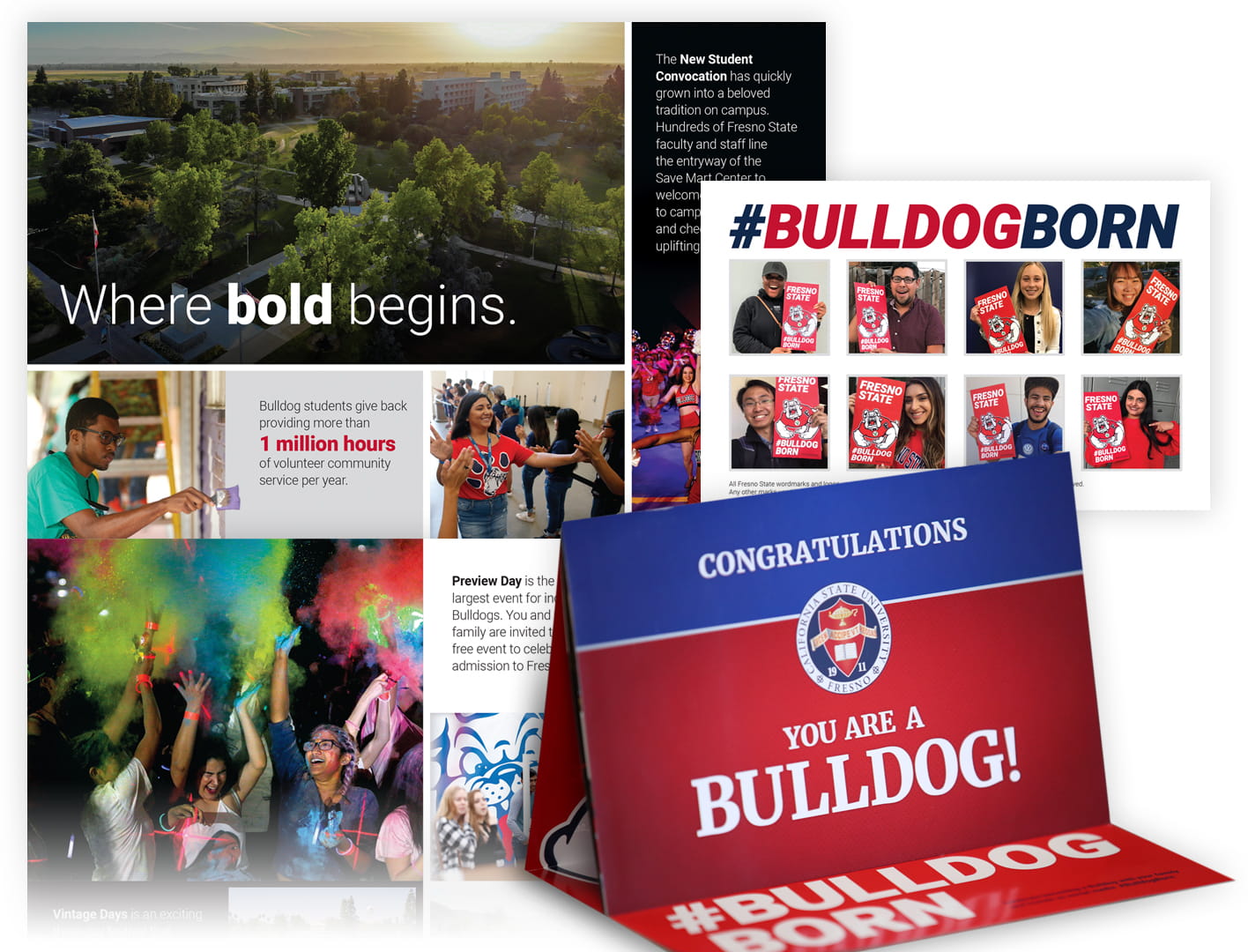 Fresno State 2019 Admissions Book