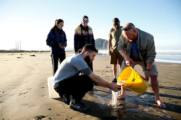 Fresno State students collecting research samples on a beach near Morro Bay