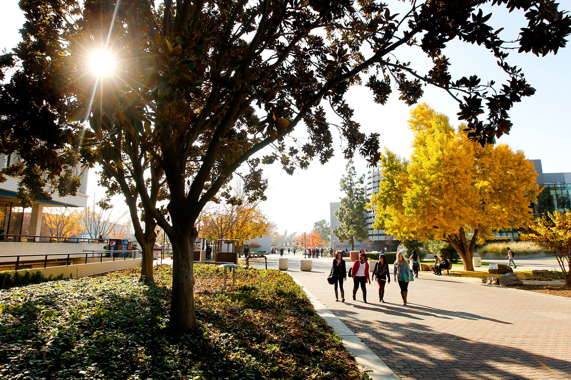 Students walking on campus during the fall Photo
