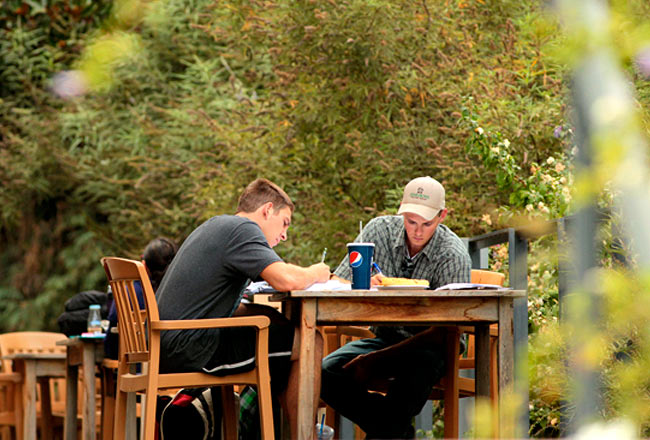 Students Studying at a Table Outside