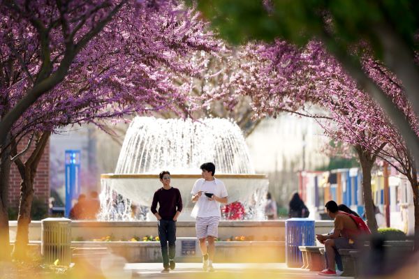 students walking in front of fountain